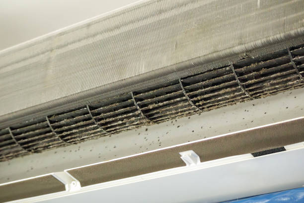 Best Residential Air Duct Cleaning  in Mvern, AL